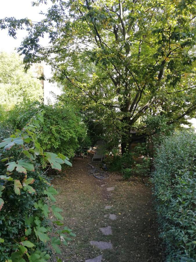 Room In Maisonette With Garden, Parking Place 维也纳 外观 照片